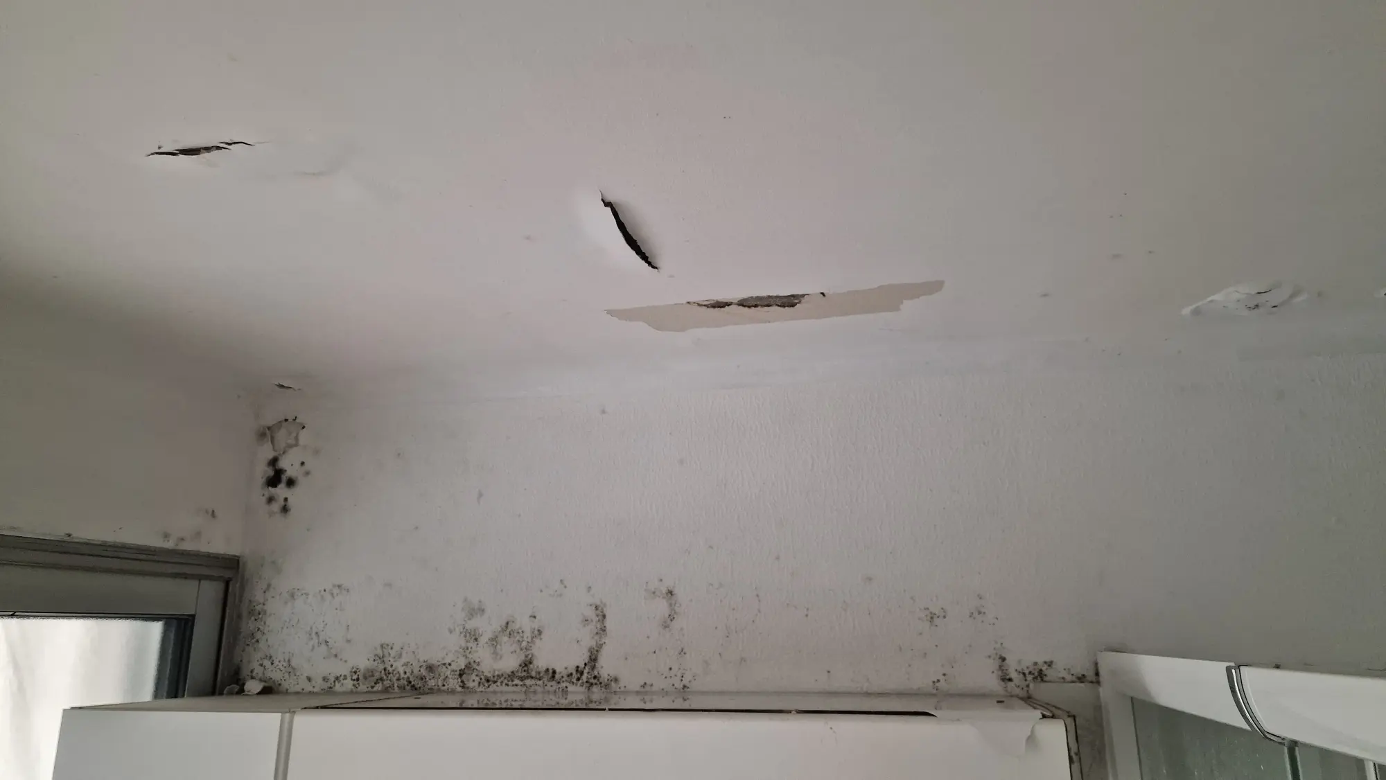 Dégâts plafond trempé d'eau et moisissures Toulon La Garde