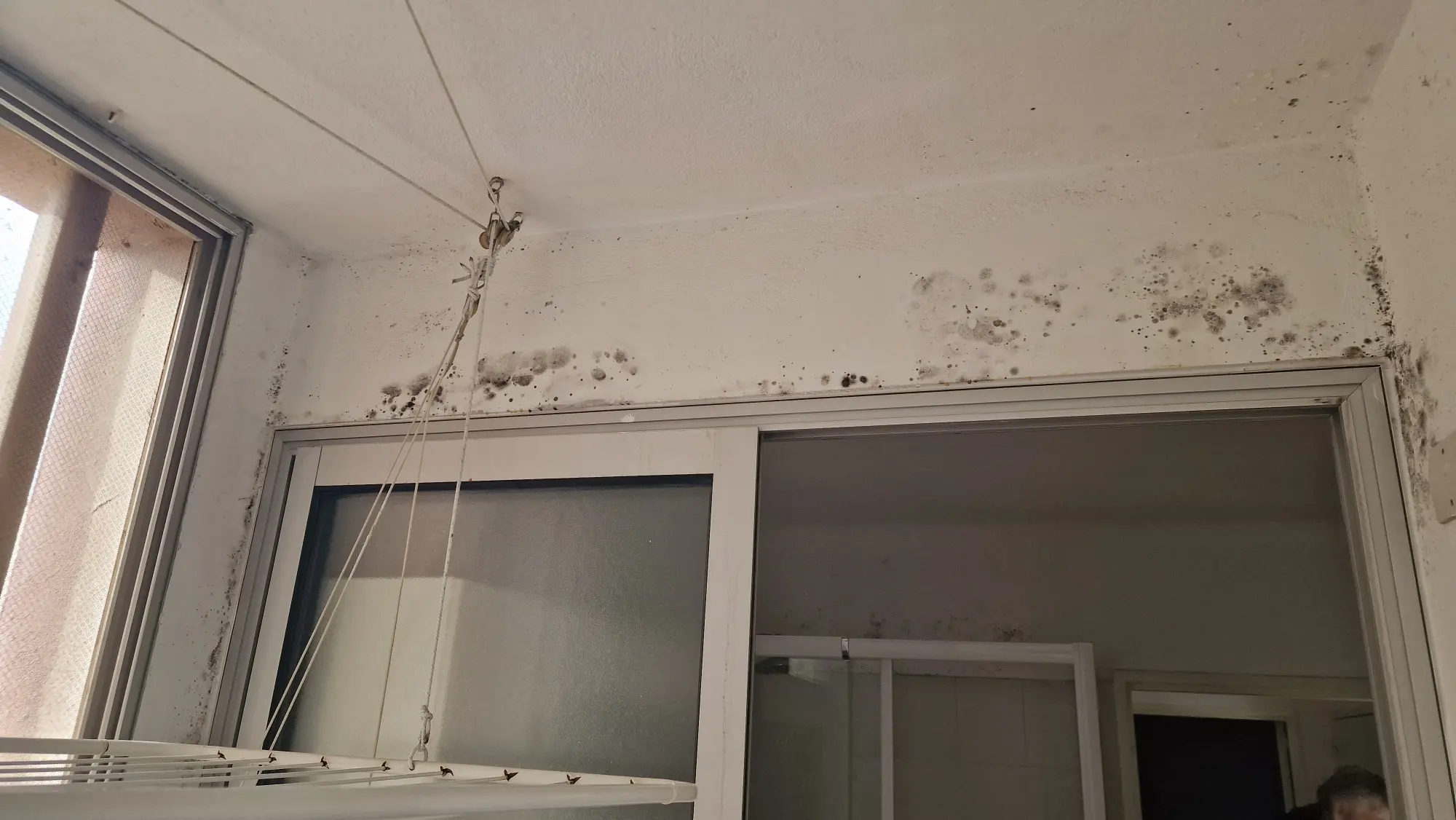 Dégâts murs salpêtres et moisissures Toulon La Garde